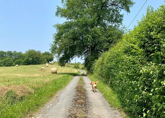 Les Maratoux Feriehus